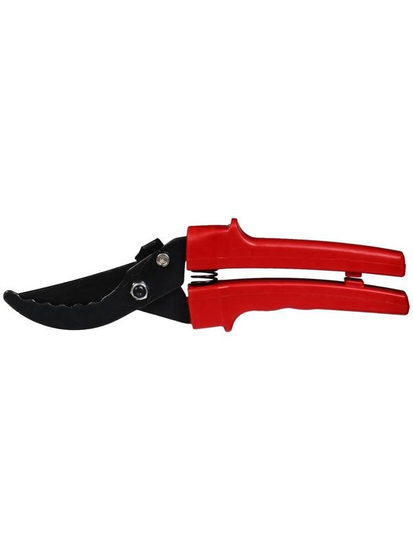 Секатор плоскостной, 9