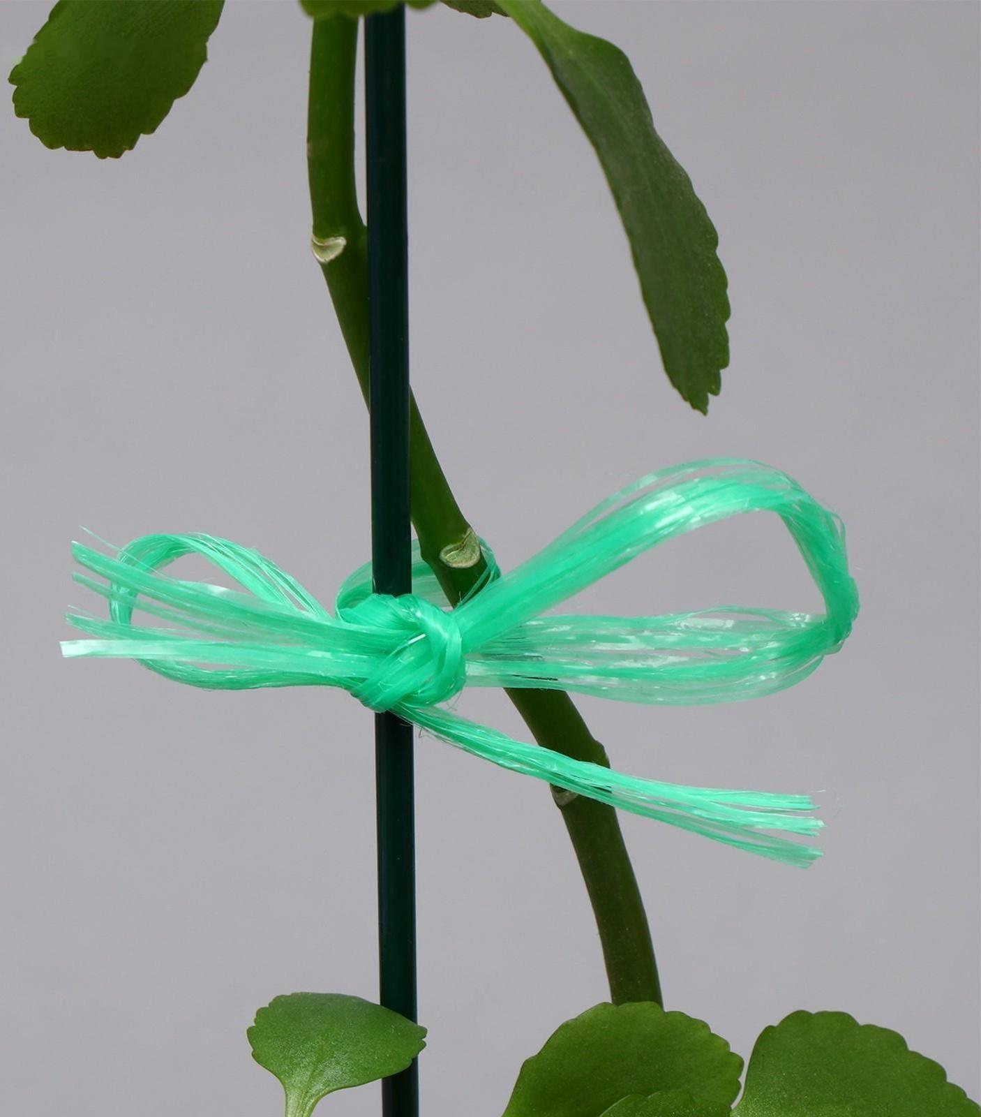 Шпагат для подвязки растений, 30 м, полипропилен, зелёный, Greengo