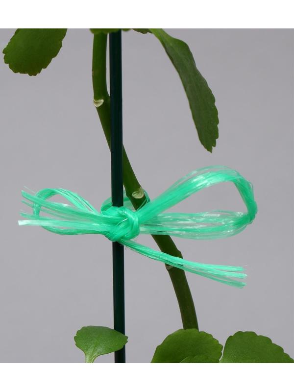 Шпагат для подвязки растений, 30 м, полипропилен, зелёный, Greengo