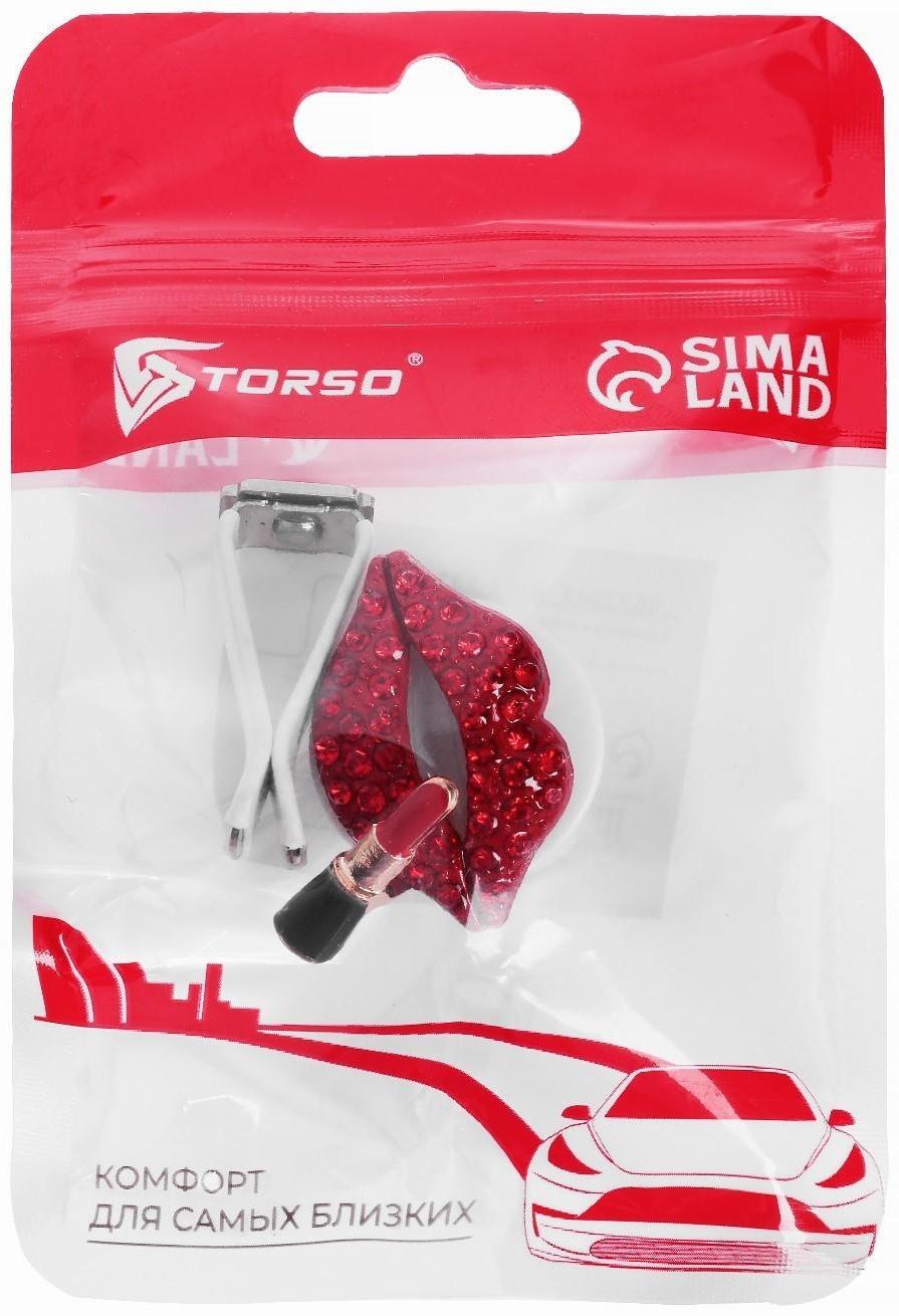 Украшение в дефлектор автомобиля 