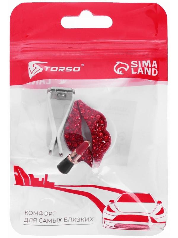 Украшение в дефлектор автомобиля 