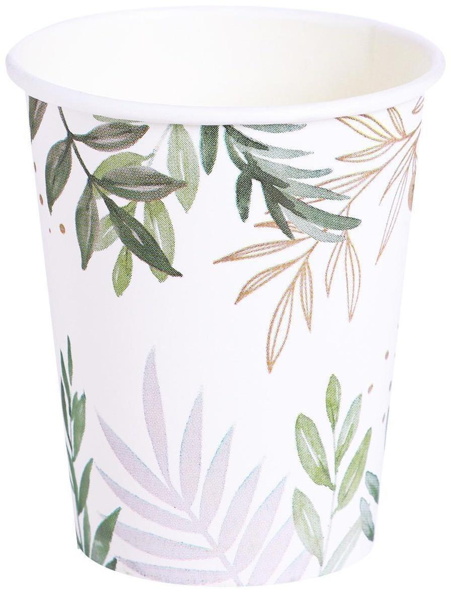 Набор бумажной посуды «Природа», 6 стаканов, 6 тарелок