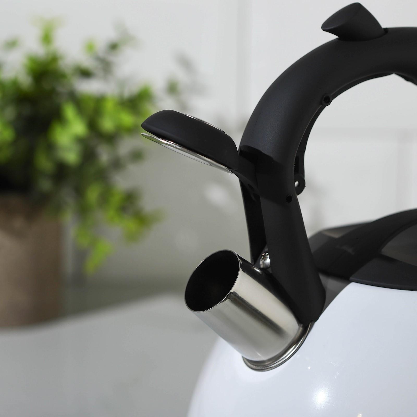 Чайник со свистком из нержавеющей стали Доляна «Сердце», 3 л, с индикатором нагрева