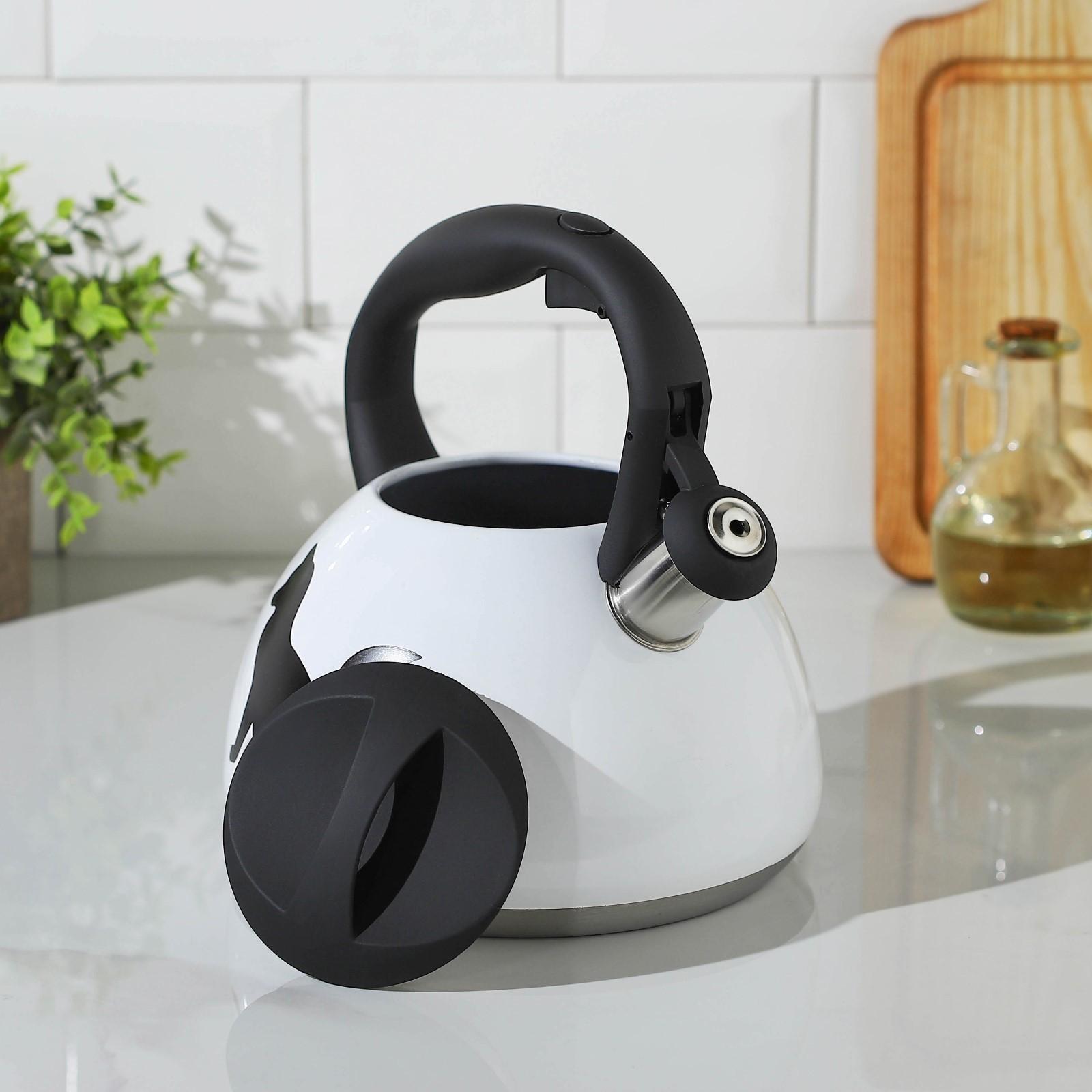 Чайник со свистком из нержавеющей стали Доляна «Лиса», 3 л, с индикатором нагрева