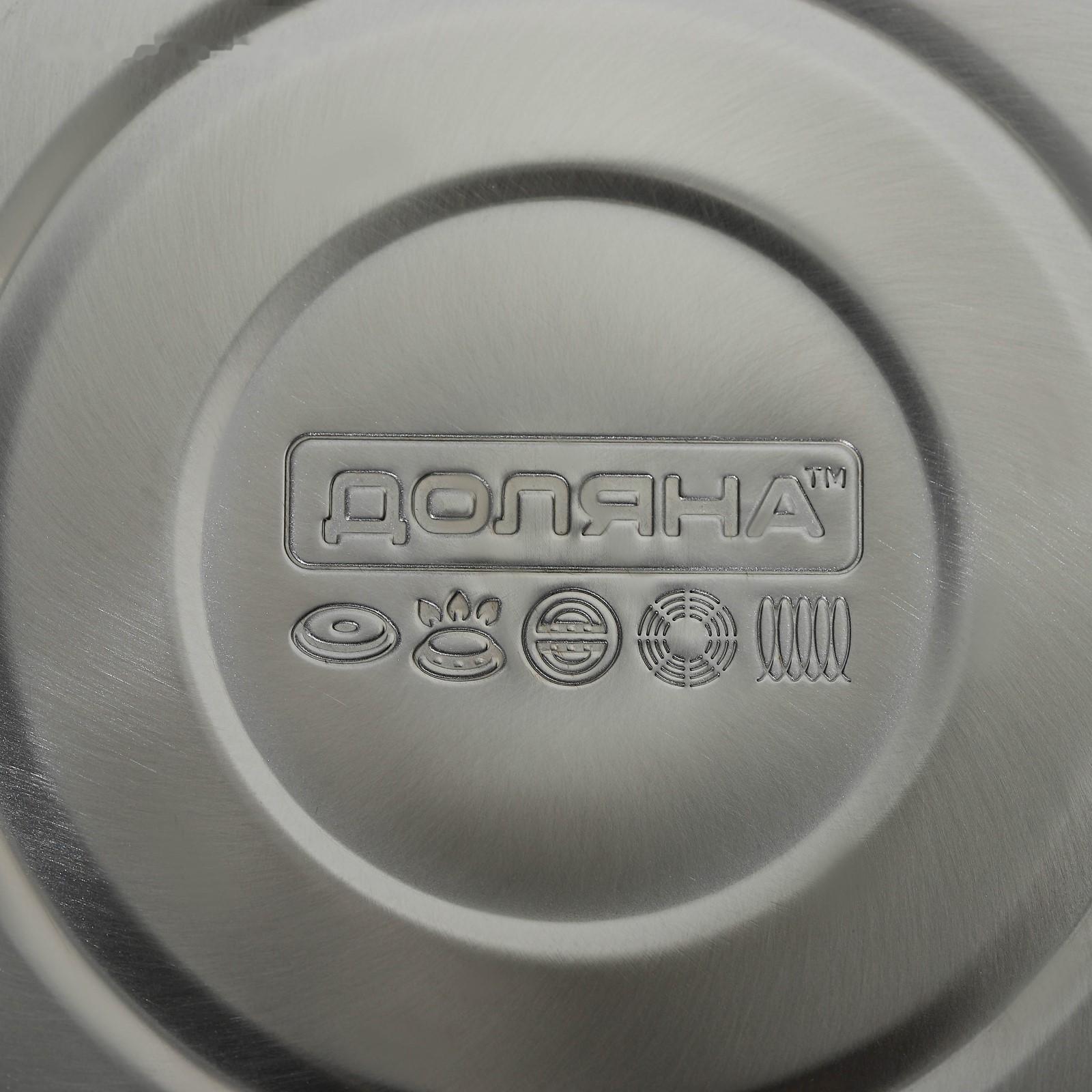 Чайник со свистком из нержавеющей стали Доляна «Лиса», 3 л, с индикатором нагрева