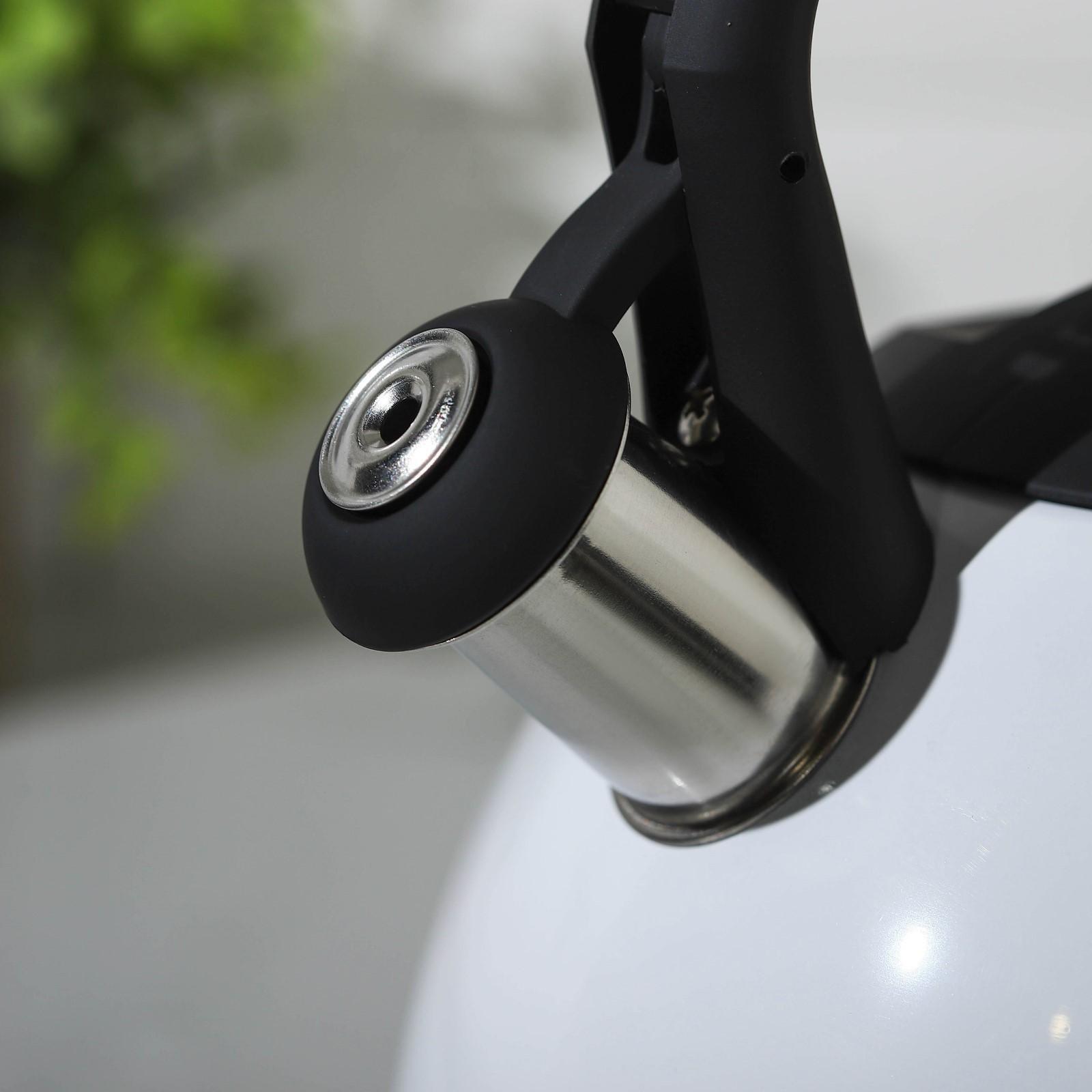 Чайник со свистком из нержавеющей стали Доляна «Лиса», 3 л, с индикатором нагрева