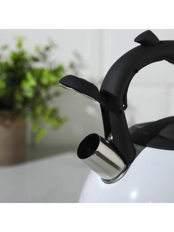 Чайник со свистком из нержавеющей стали Доляна «Лиса», 3 л, с индикатором нагрева