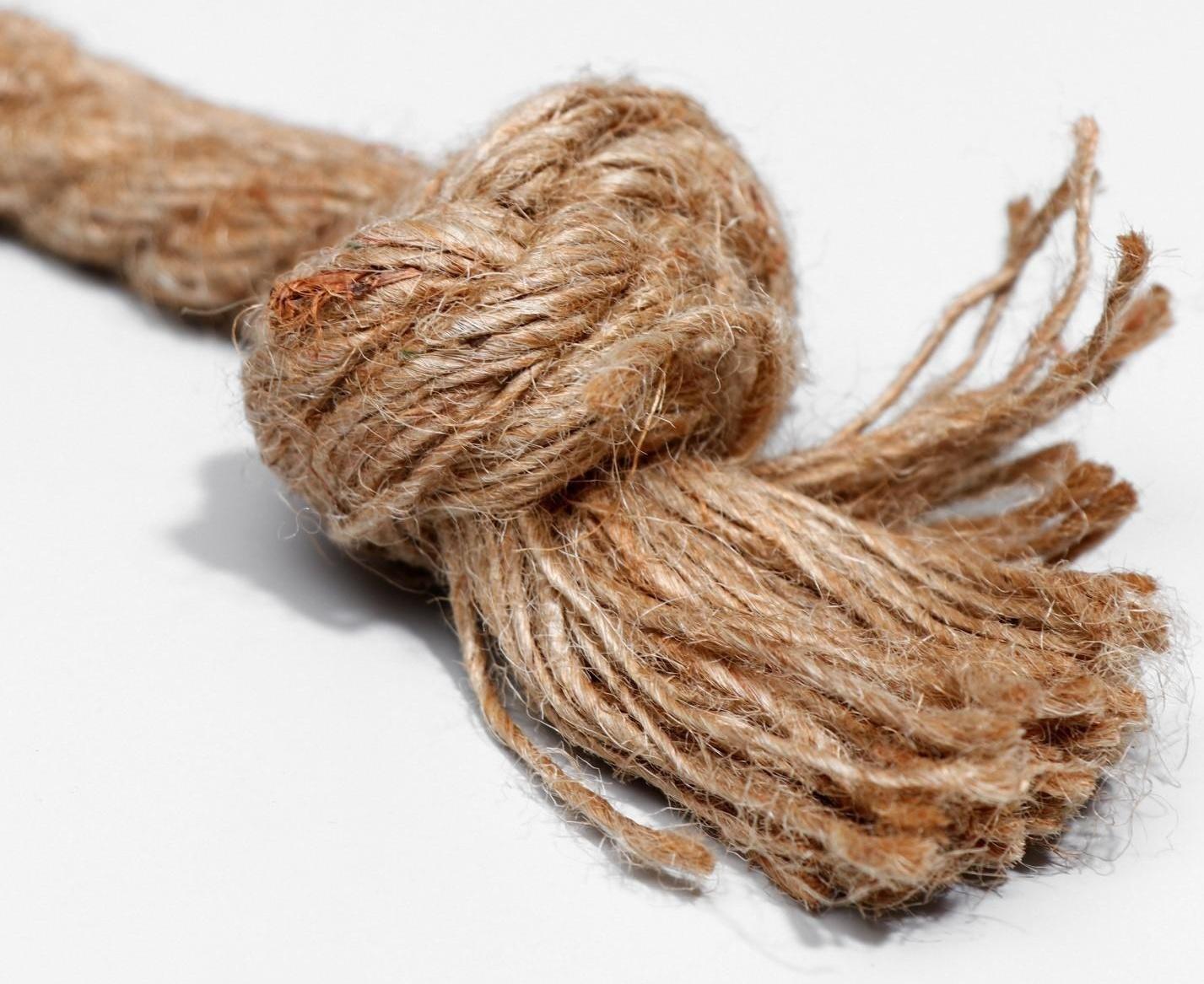 Игрушка мягкая для собак 