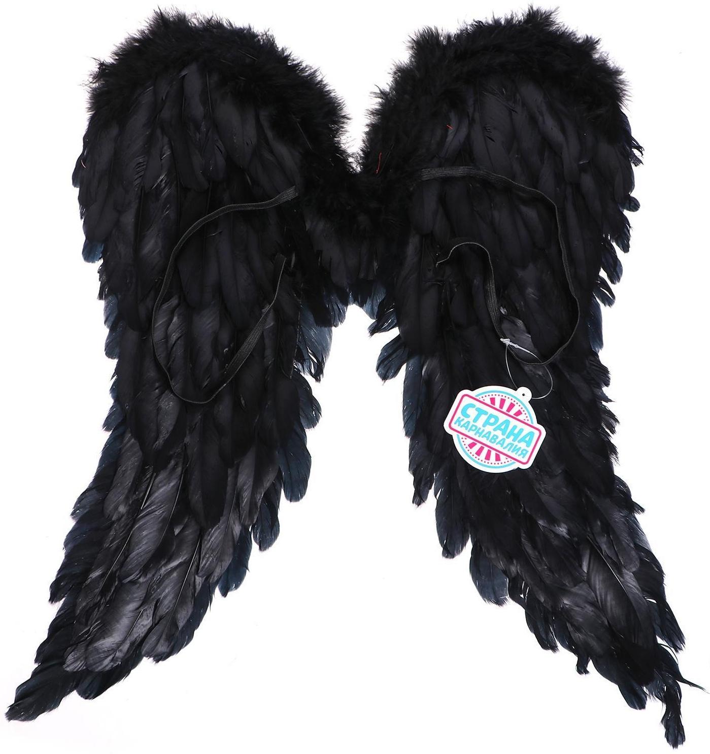 Крылья «Ангел», 50 × 40, цвет чёрный