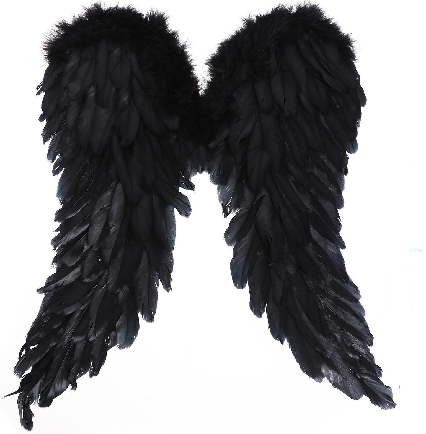 Крылья «Ангел», 50 × 40, цвет чёрный