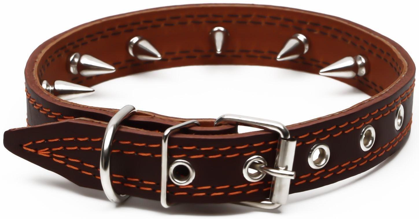 Ошейник кожаный 