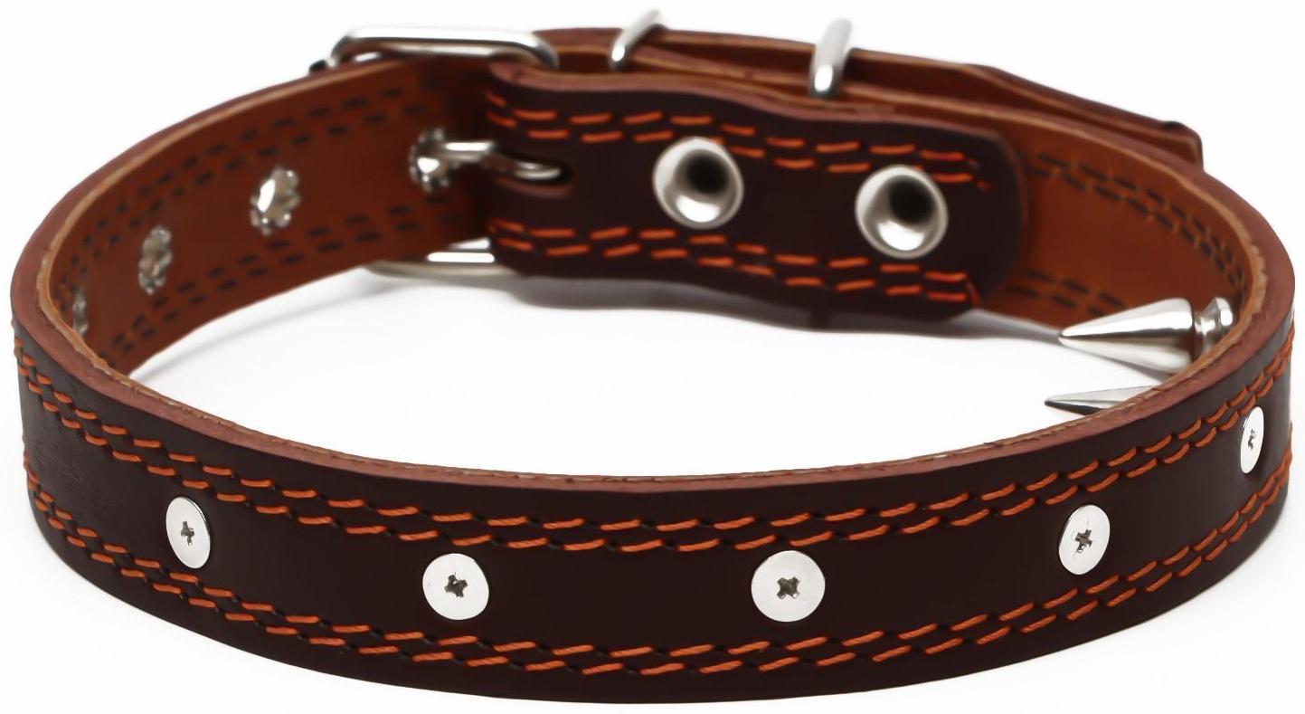 Ошейник кожаный 