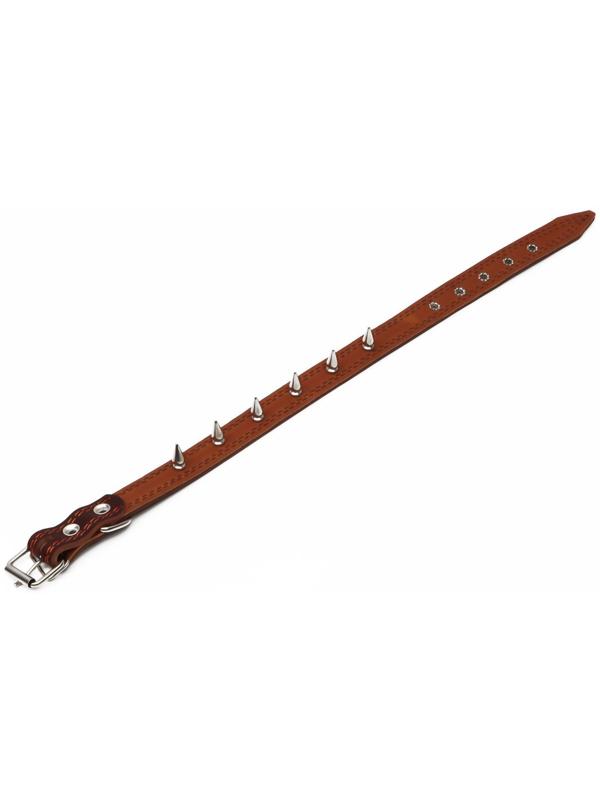 Ошейник кожаный 