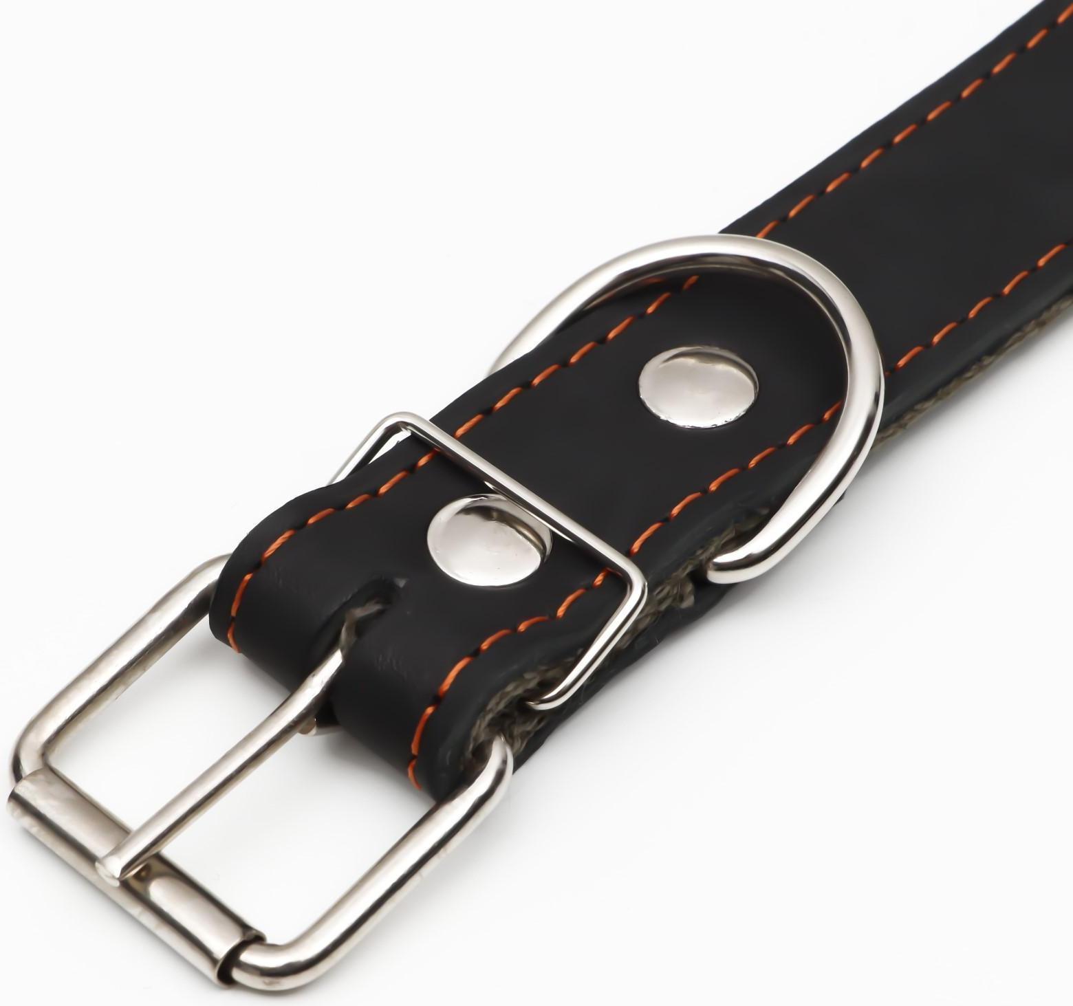 Ошейник комбинированный кожа/брезент, 69 х 3,5 см, ОШ 45-60 см, чёрный