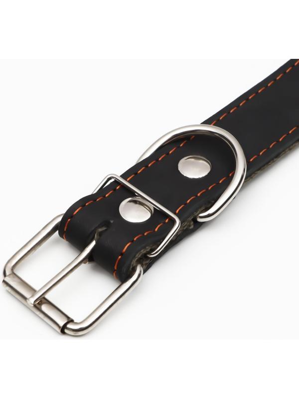 Ошейник комбинированный кожа/брезент, 69 х 3,5 см, ОШ 45-60 см, чёрный