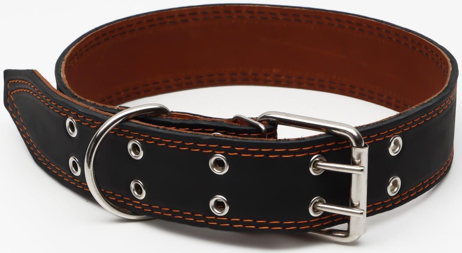 Ошейник кожаный двухслойный, 85 х 4.5 см,  ОШ 50-70 см, чёрный