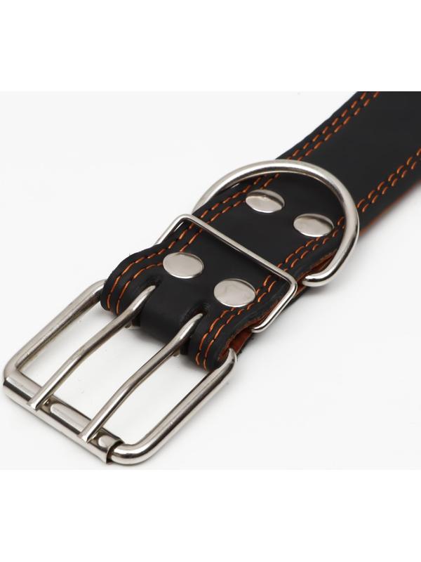 Ошейник кожаный двухслойный, 85 х 4.5 см,  ОШ 50-70 см, чёрный