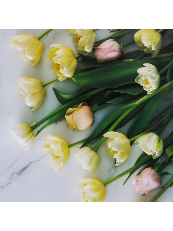 Фотофон двусторонний бумага 300 гр 