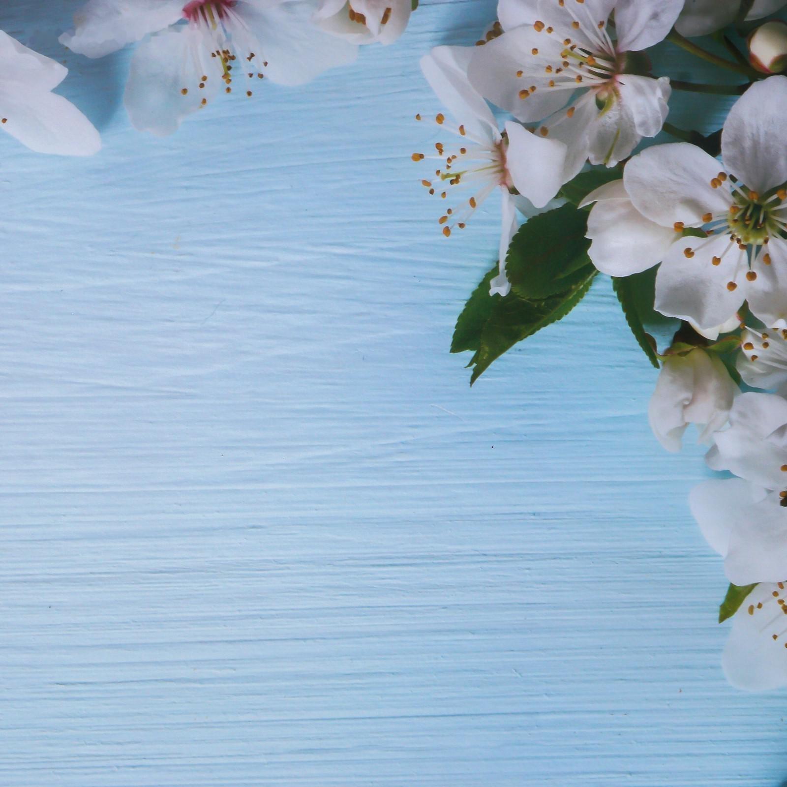 Фотофон двусторонний бумага 300 гр 