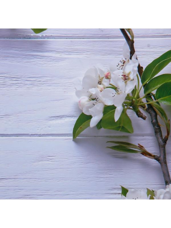 Фотофон двусторонний бумага 300 гр 