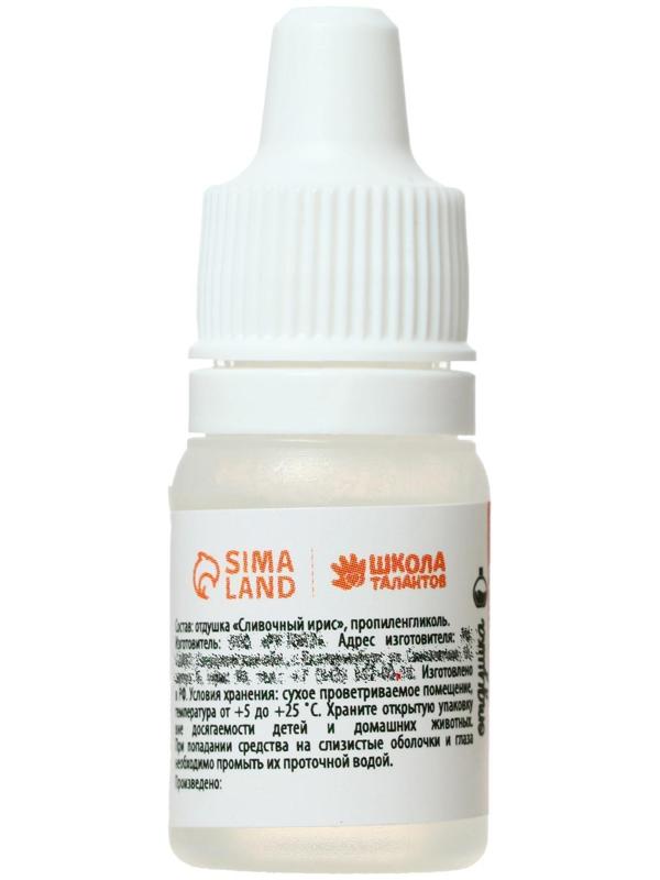 Ароматизатор «Сливочный ирис», 5 мл