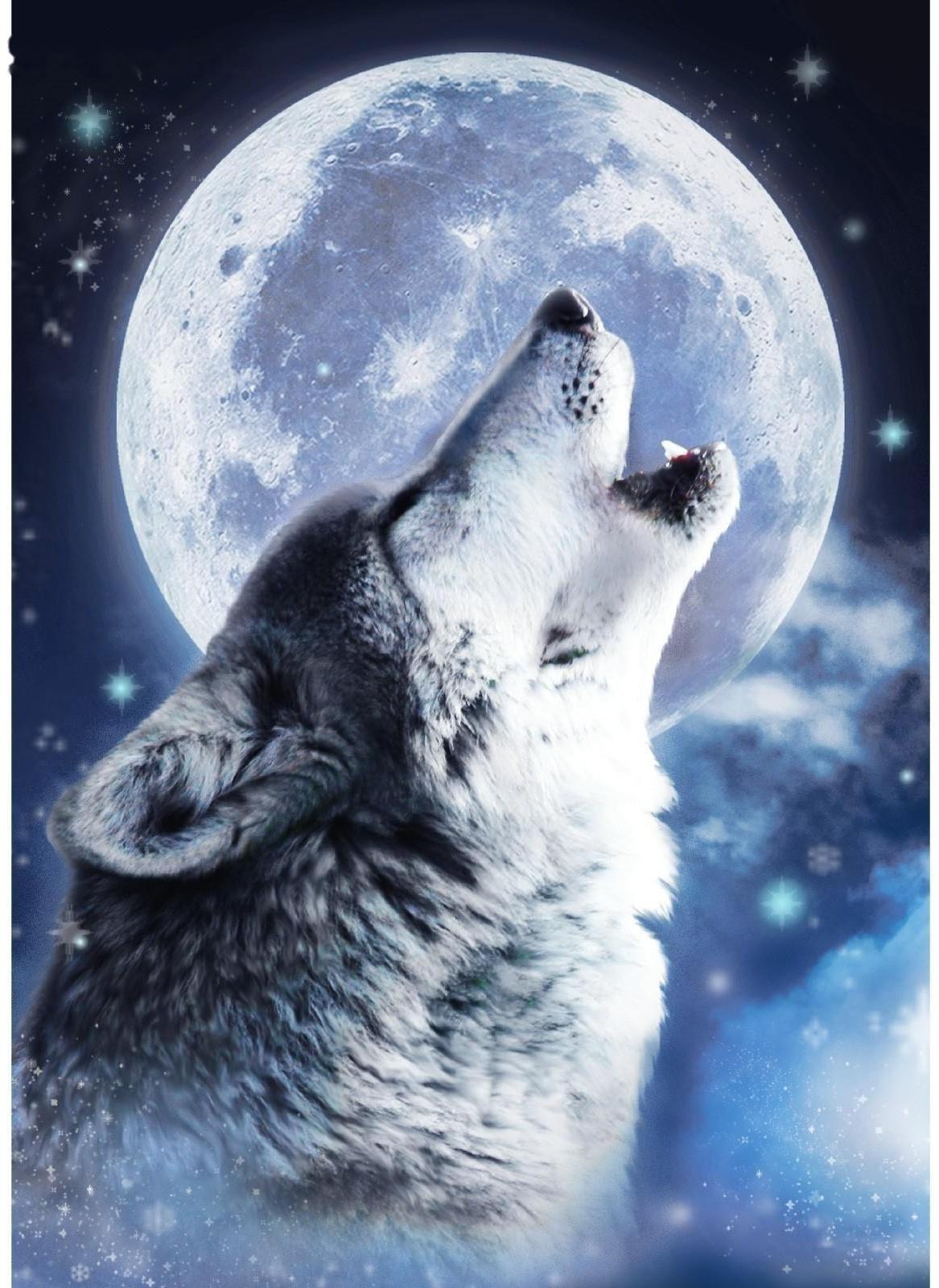 Алмазная вышивка с полным заполнением «Волк» 15х21 см, на холсте