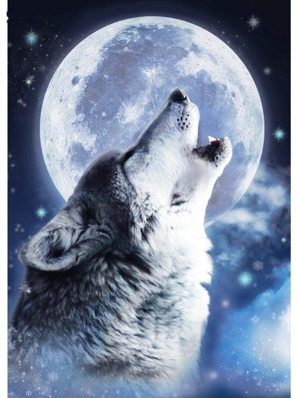 Алмазная вышивка с полным заполнением «Волк» 15х21 см, на холсте