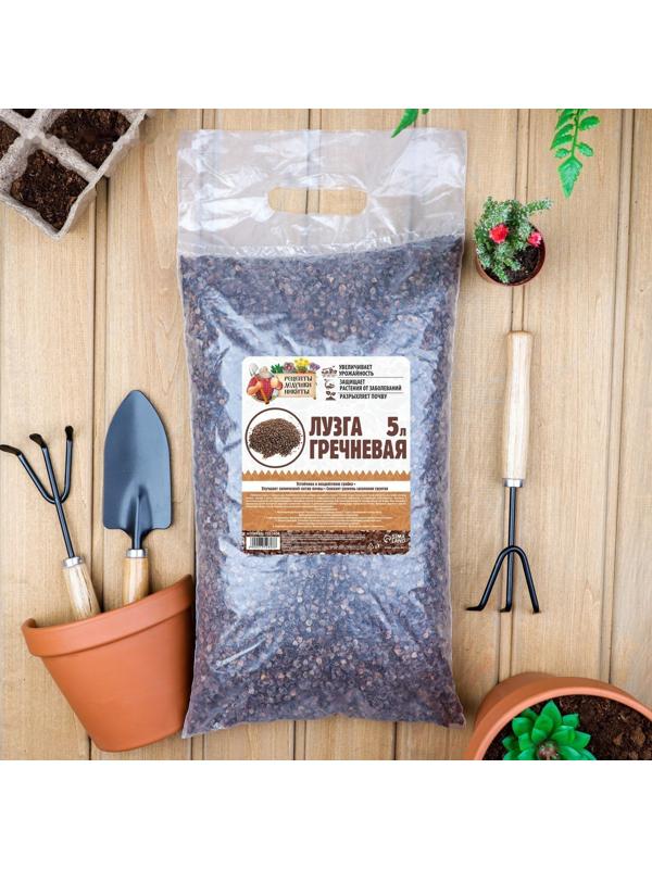 Лузга гречневая 