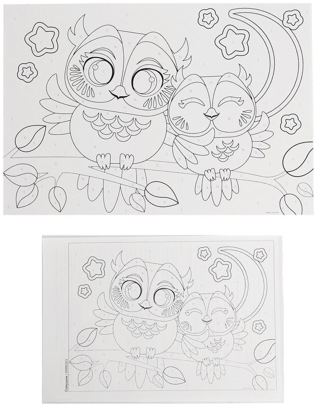 Картина по номерам «Совушки» 20х28.5 см