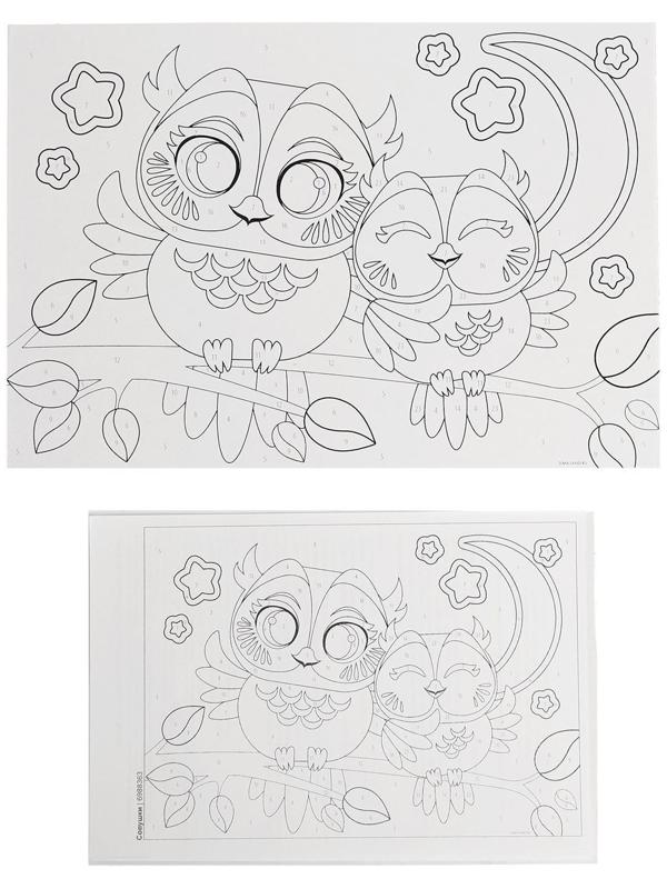 Картина по номерам «Совушки» 20х28.5 см