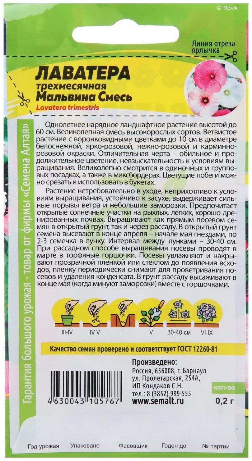 Семена цветов Лаватера 