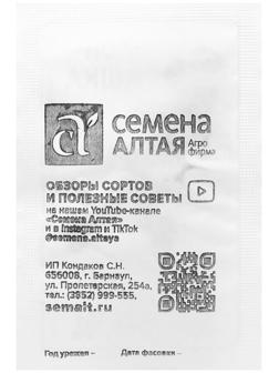 Семена Патиссон 