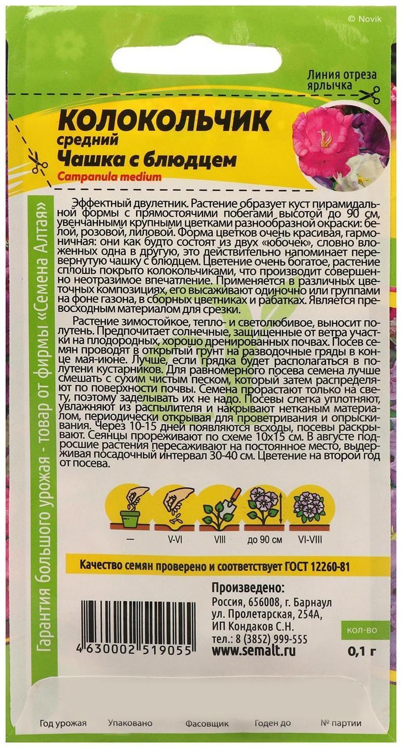 Семена цветов Колокольчик 