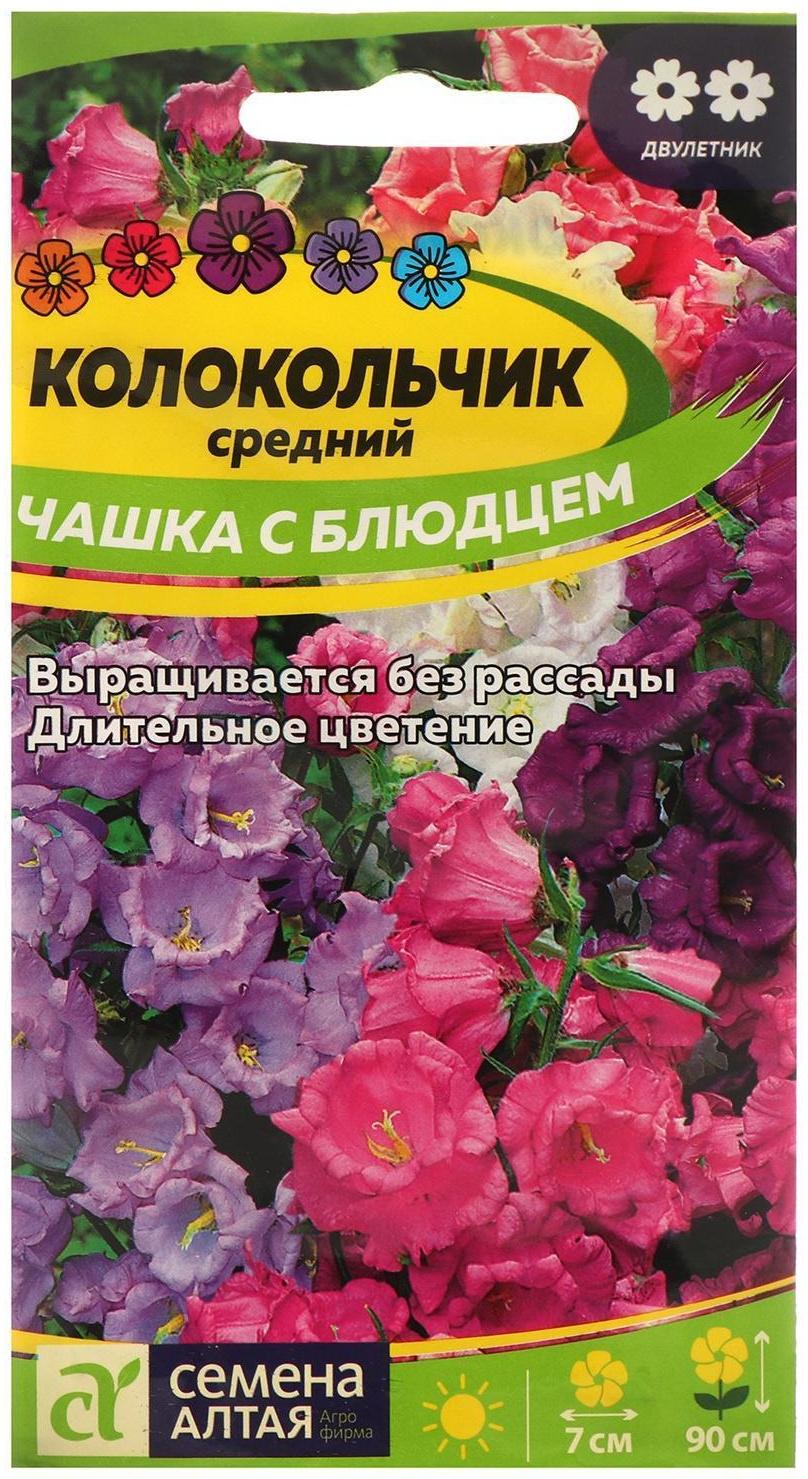 Семена цветов Колокольчик 