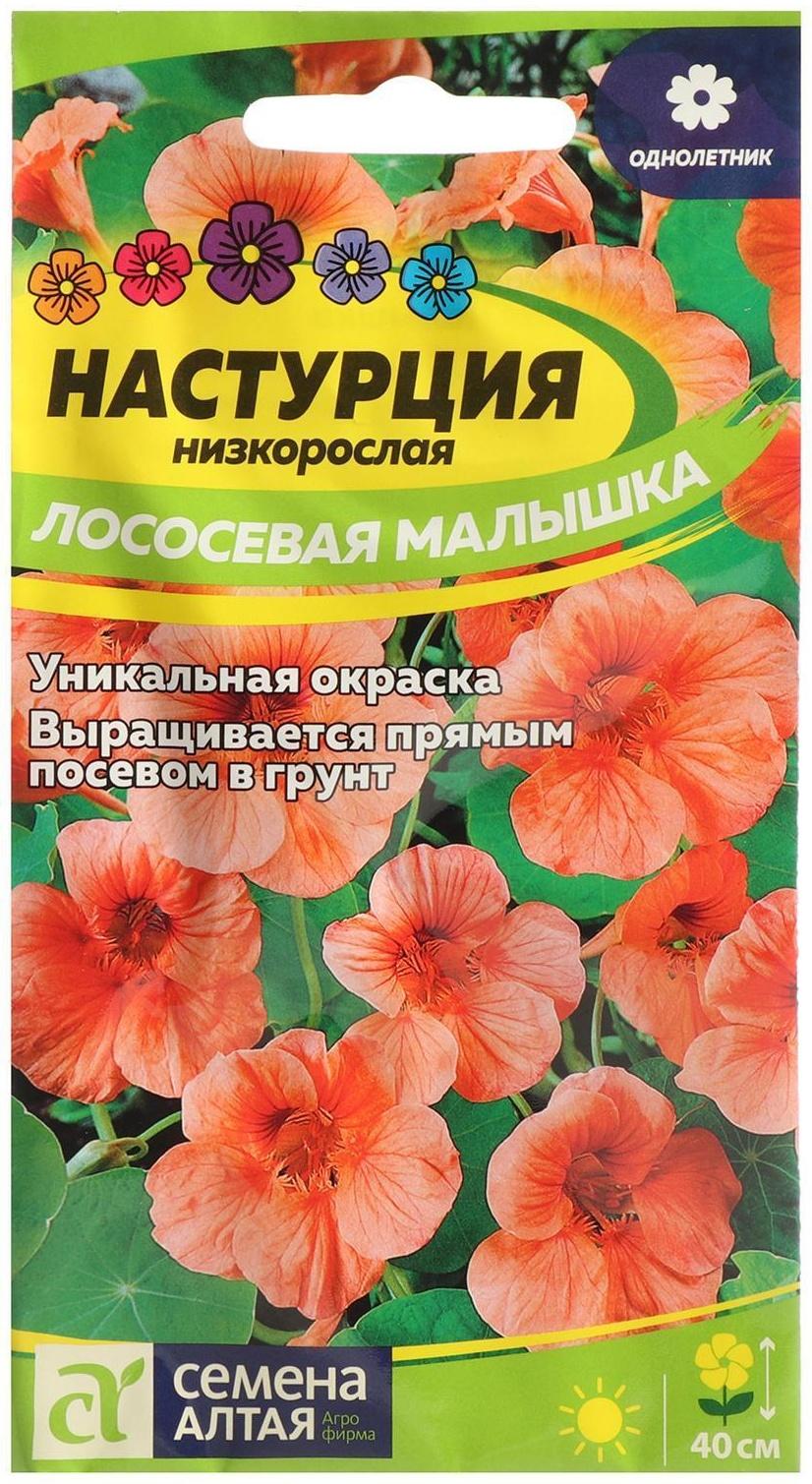 Семена цветов Настурция 