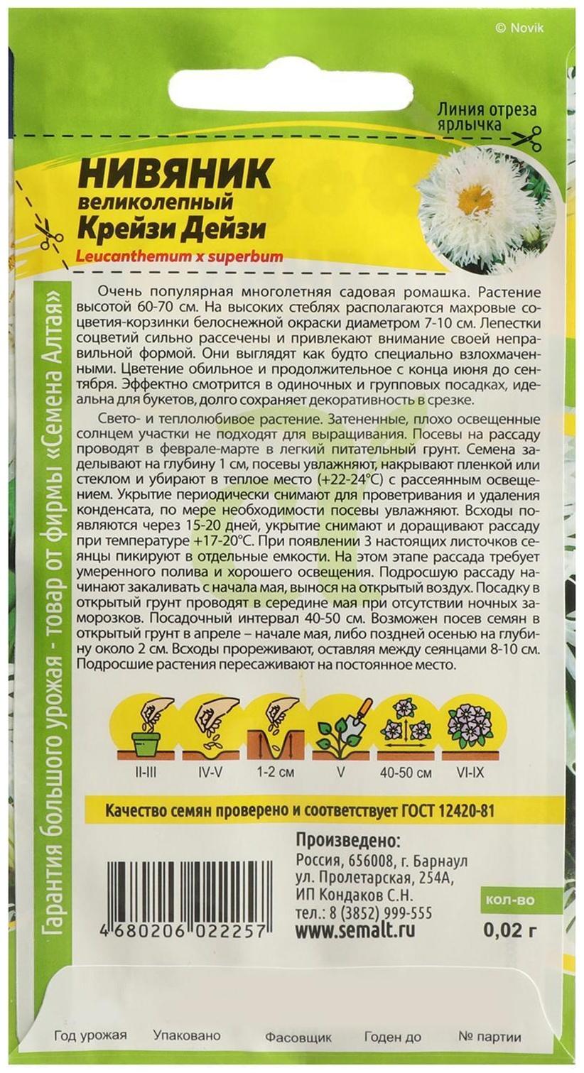 Семена цветов Нивяник 