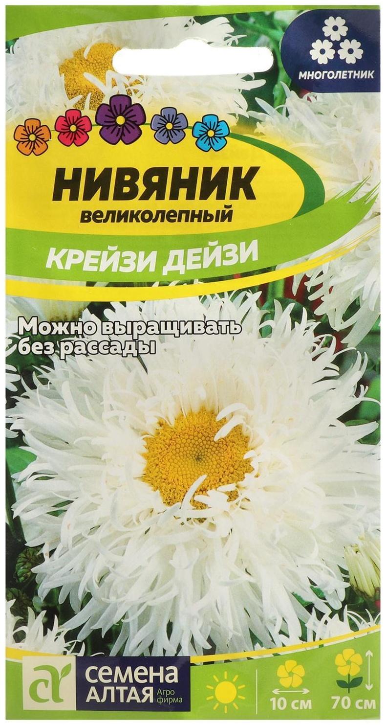 Семена цветов Нивяник 