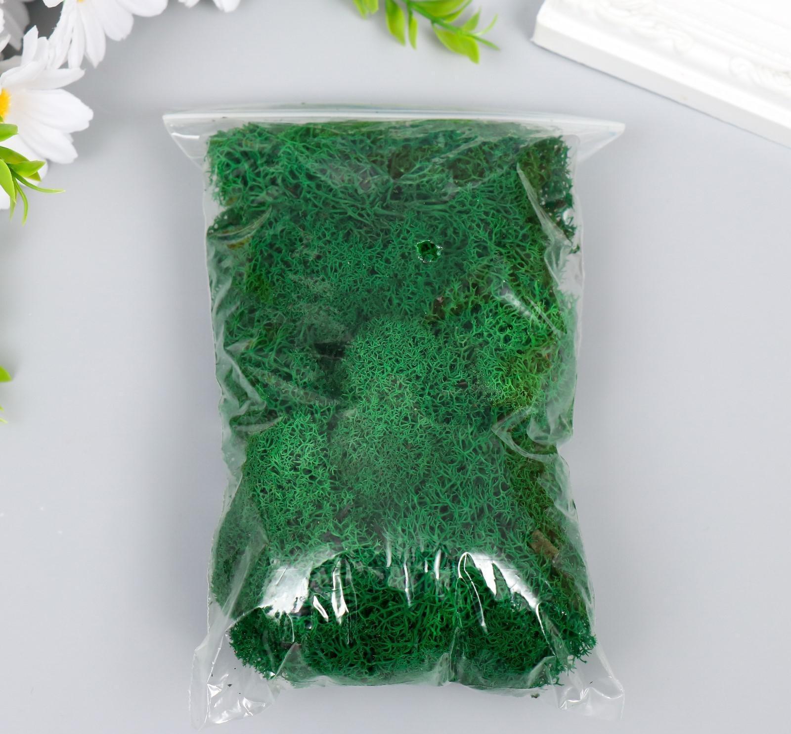 Мох стабилизированный 