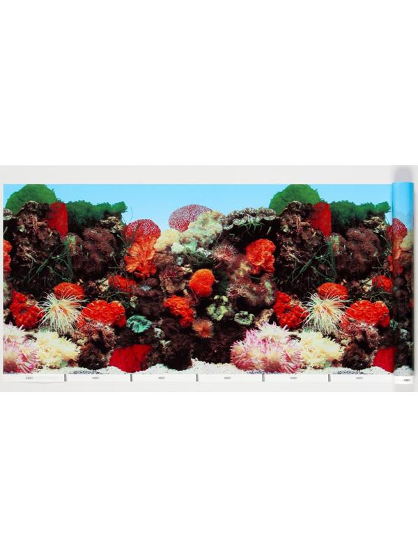 Фон для аквариума, 30 см, рулон 25 м