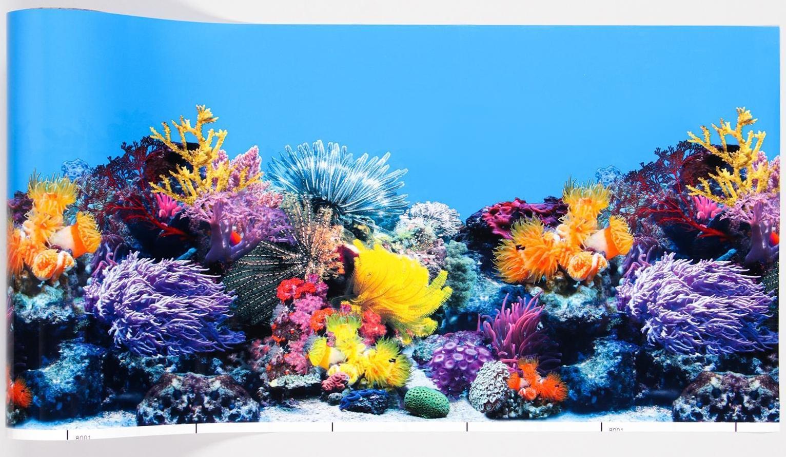 Фон для аквариума двухсторонний, 30 см, рулон 15 м