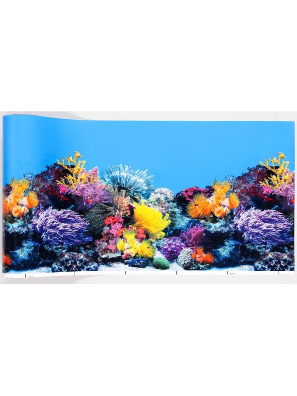 Фон для аквариума двухсторонний, 30 см, рулон 15 м