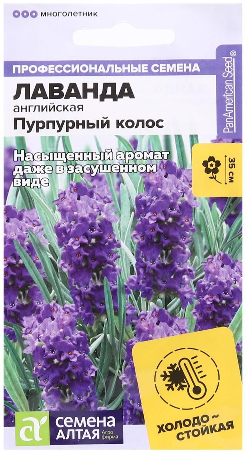 Семена цветов Лаванда 