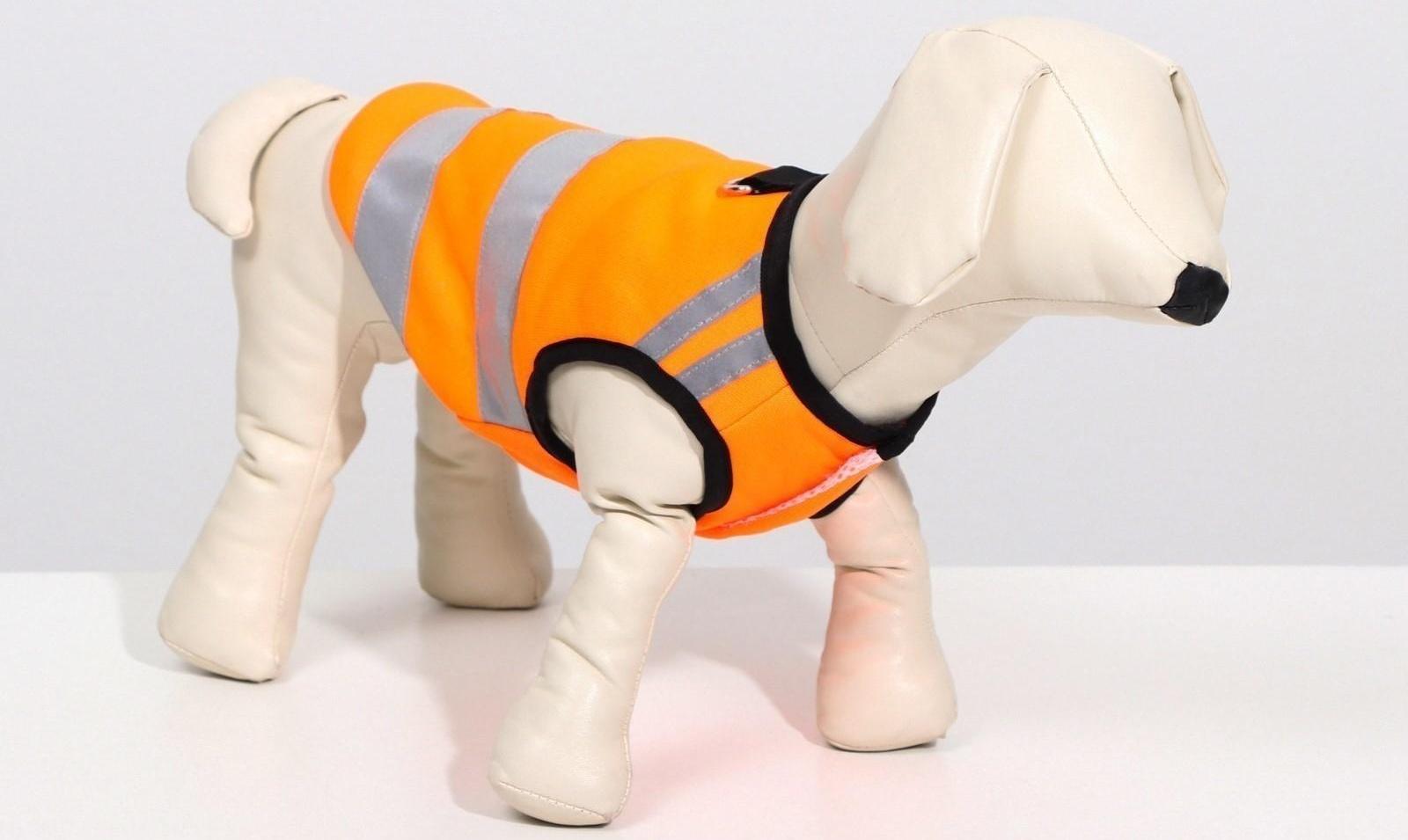 Светоотражающий жилет для собак,  размер 8 (ДС 23 см, ОГ 30 см, ОГ 22 см), оранжевый