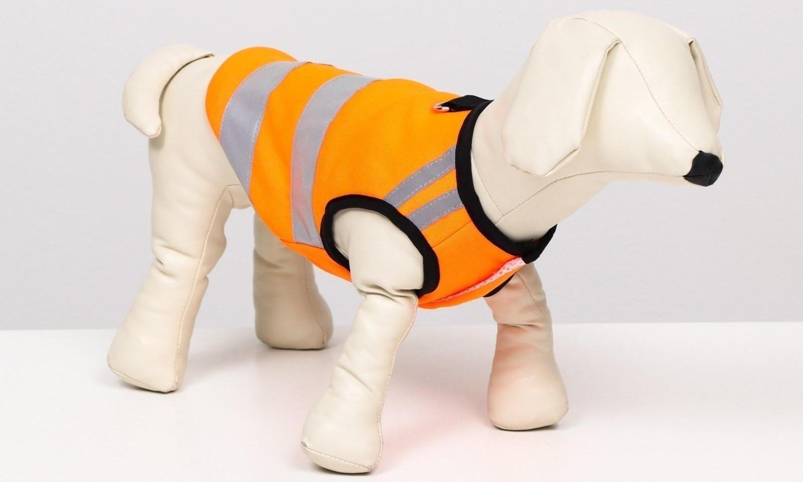 Светоотражающий жилет для собак, размер 12 (ДС 28 см, ОГ 38 см, ОШ 27 см), оранжевый