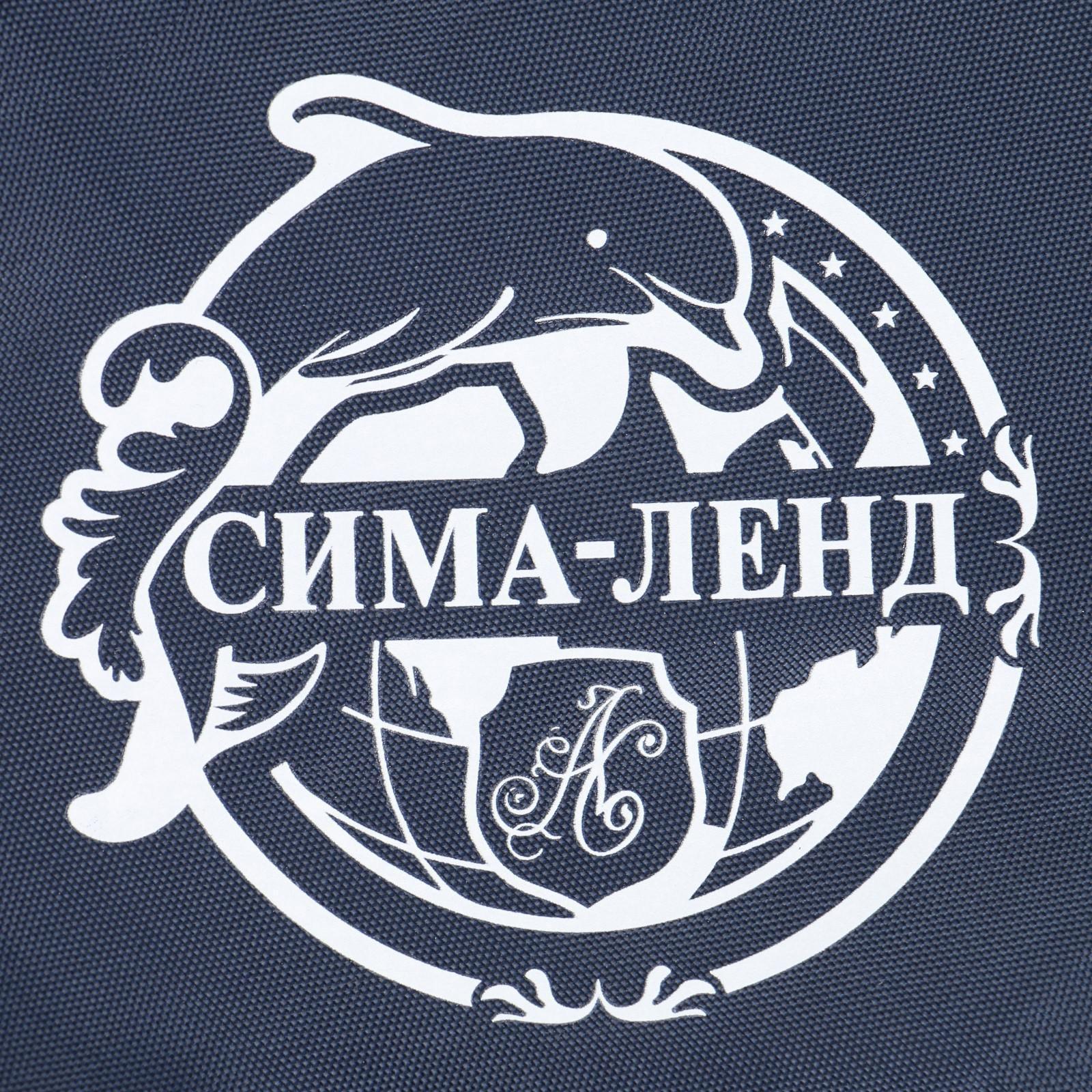 Сумка чехол для балансборда с кармашком 80х36 см