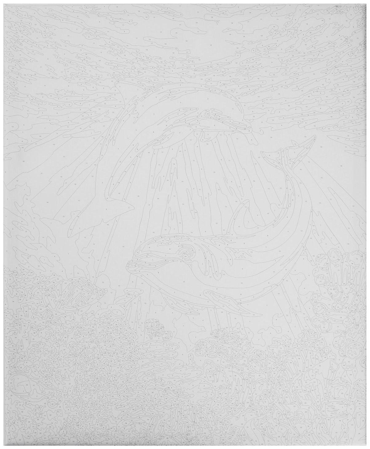 Картина по номерам на холсте с подрамником «Дельфины-друзья» 40х50 см