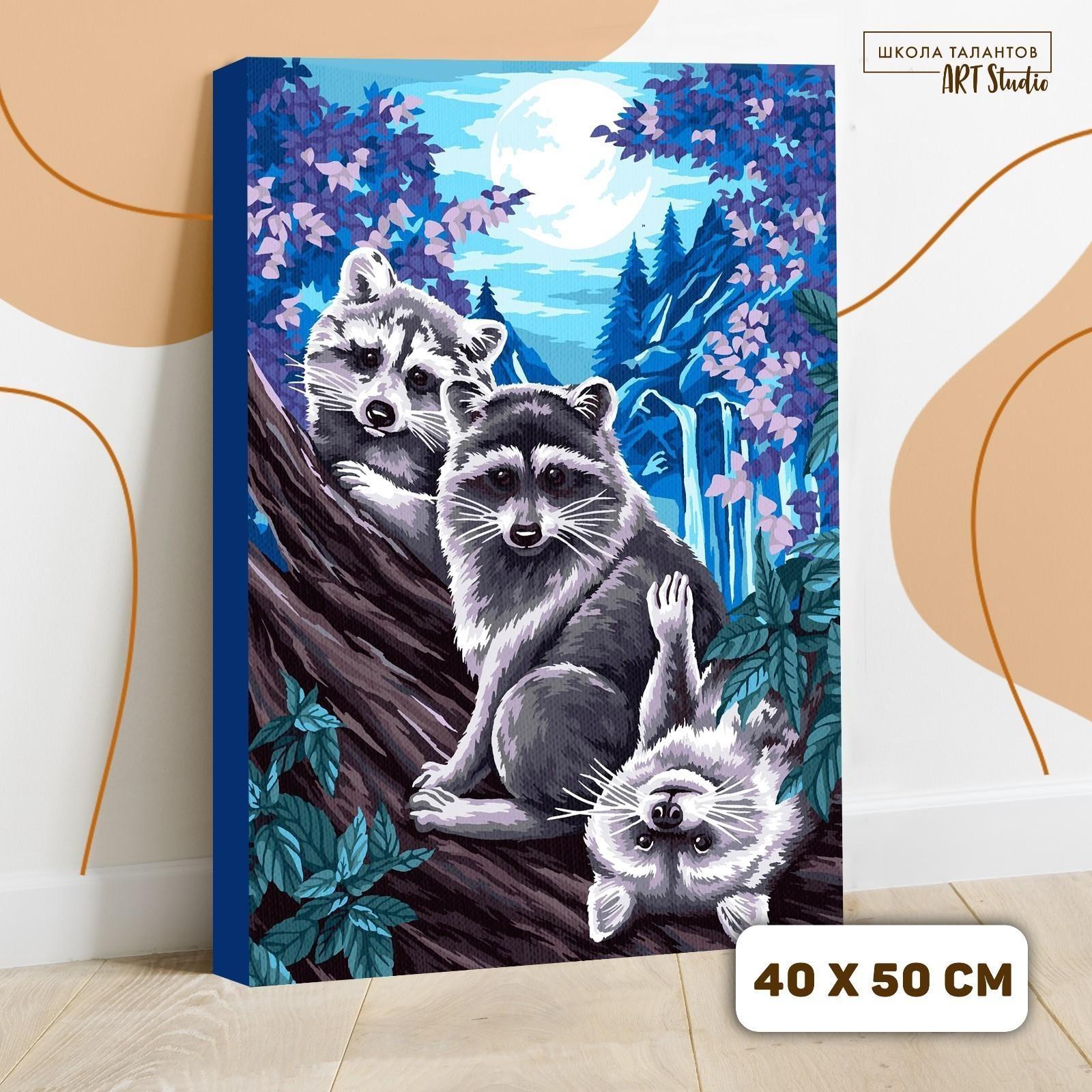 Картина по номерам на холсте с подрамником «Еноты под луной» 40х50 см