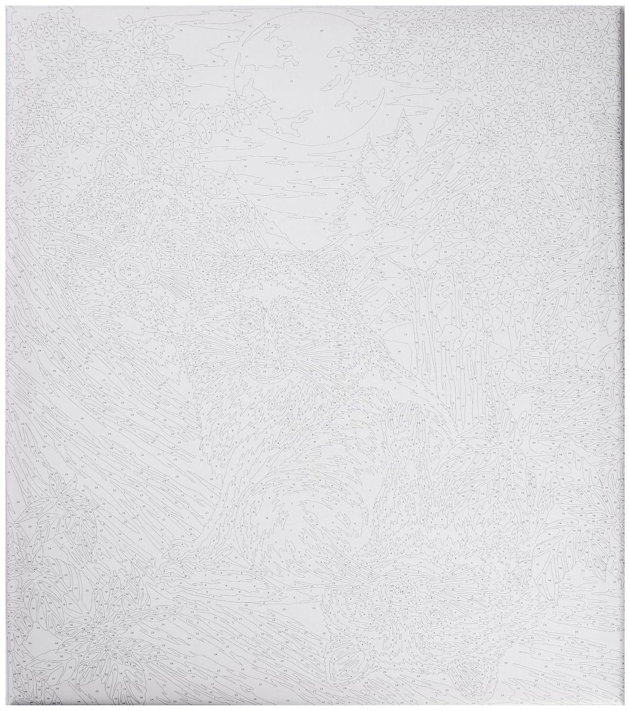 Картина по номерам на холсте с подрамником «Еноты под луной» 40х50 см