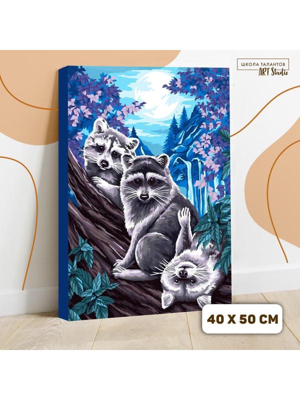 Картина по номерам на холсте с подрамником «Еноты под луной» 40х50 см