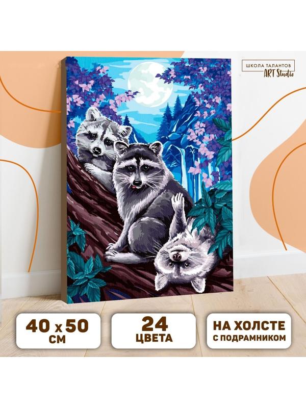 Картина по номерам на холсте с подрамником «Еноты под луной» 40х50 см